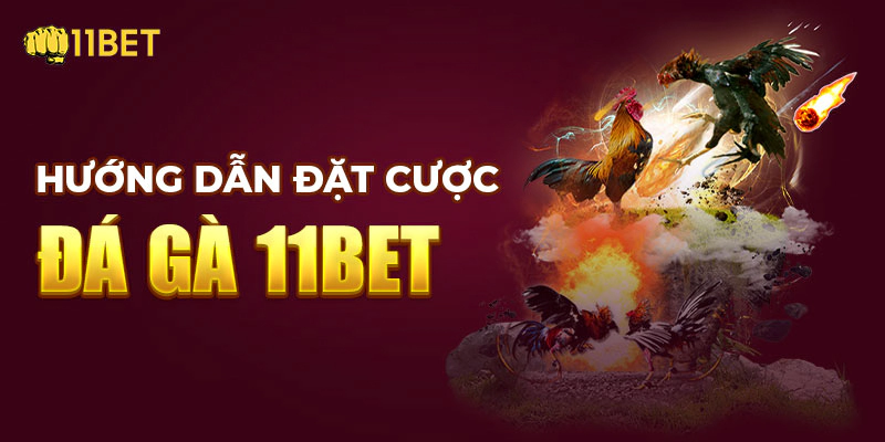 Hướng dẫn đặt cược