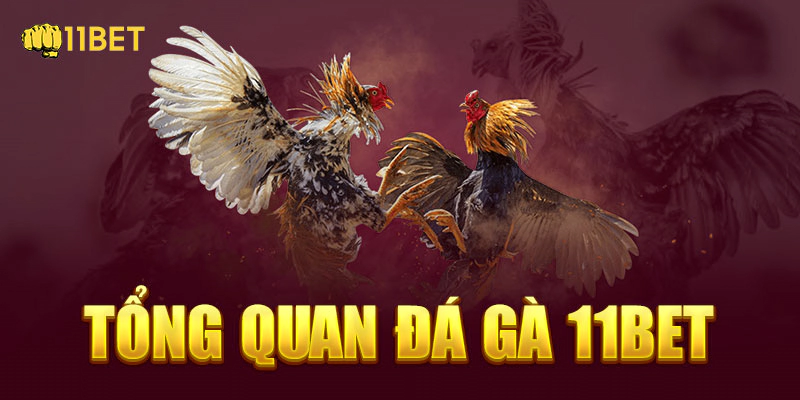 Tổng quan đá gà 11bet