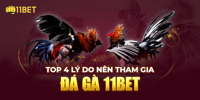 Top 4 lý do nên tham gia